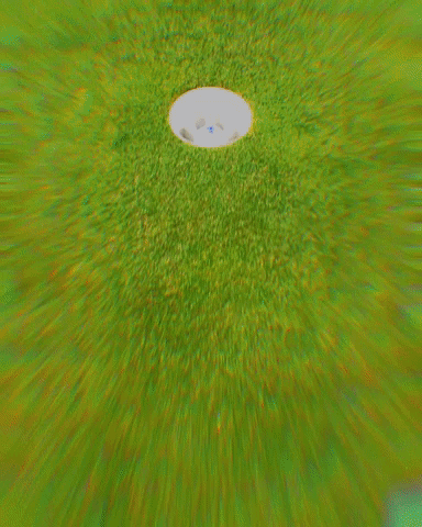 Eagles Teck GIF by golfclubteck