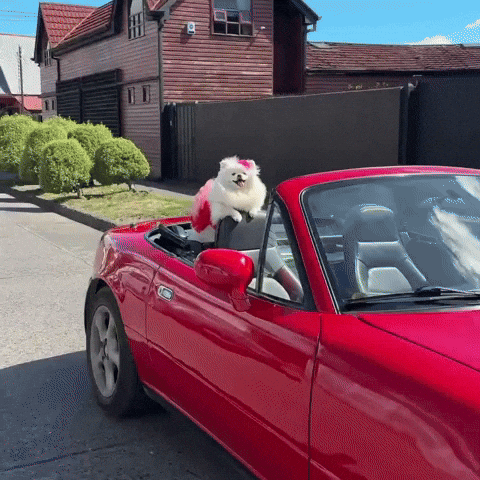 Mood GIF