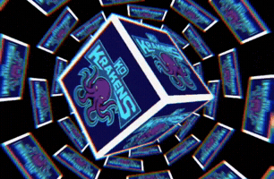 Reality Show Kk GIF
