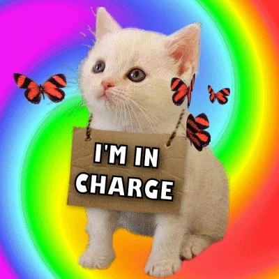 Follow Me Manager GIF