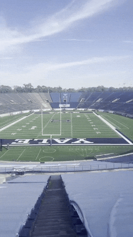 Yale GIF