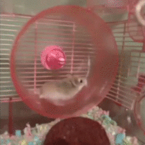 How to Get Off the Direct Response Hamster Wheel