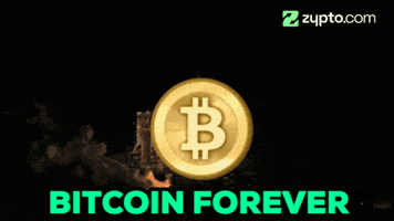 GIF by Zypto