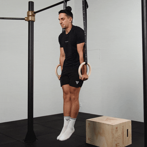 Calisthenics Exercises GIF