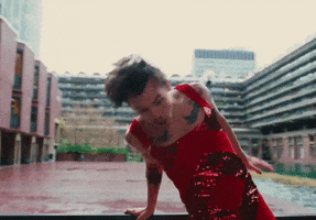 Harry Styles GIF