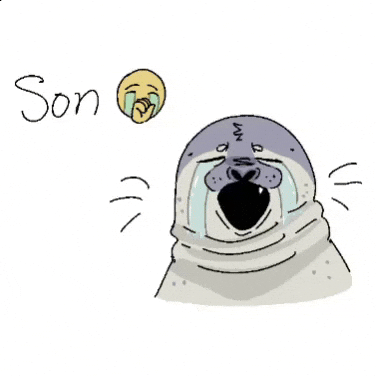Seal Crying GIF