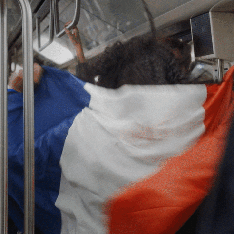 Happy Football GIF by RATP