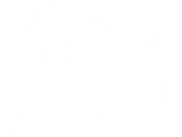 Ducakousuke Sticker