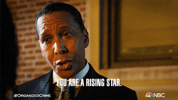 You Are Awesome Organized Crime GIF by Law & Order