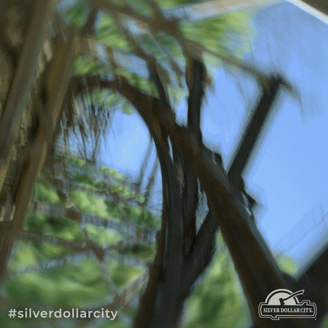 silverdollarcity driving ride roll rolling GIF