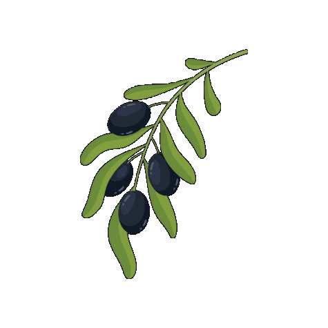 About Olive Oil Sticker