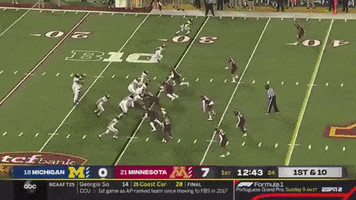 Michigan Football GIF