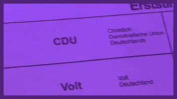 Volt Votevolt GIF