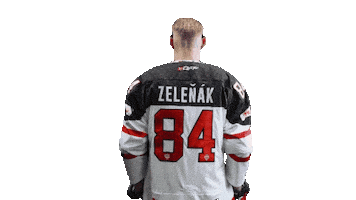 Hokej Sticker by HC '05 Banská Bystrica