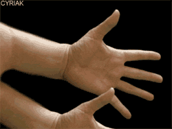 Hands GIF - Find & Share on GIPHY