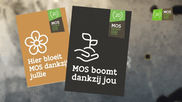 MOS - duurzame scholen, straffe scholen GIF