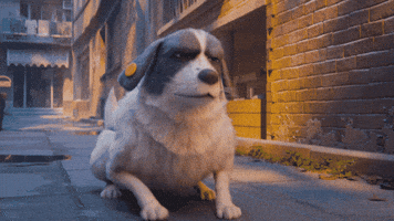 Excited Jump GIF by Bank Of Georgia