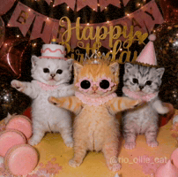 Excited Dance GIF