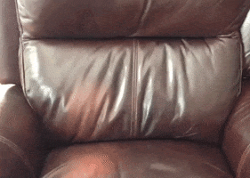 Dog Puppy GIF by mammamiacovers