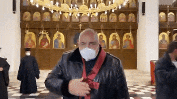 Borisov GIF