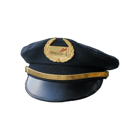 Travel Flying Sticker by Endeavor Air