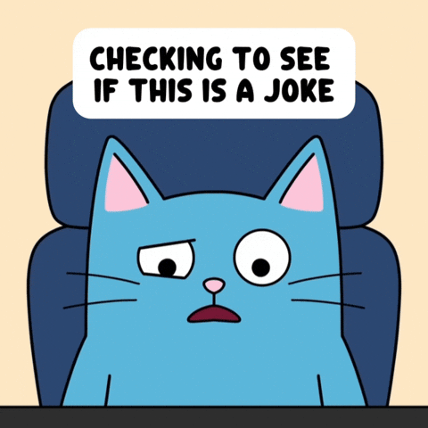 Blue Cat Confusion GIF