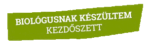 Sticker by Antikvarium.Hu