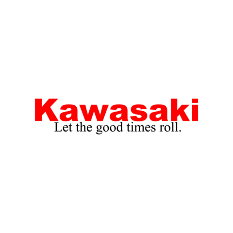 Kawasaki Sticker by Ride MB Garage