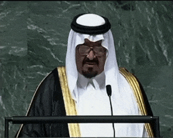 mbahareth prince saudi arabia sultan GIF