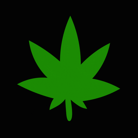 greenbrothers cannabis maconha weedlovers loveweed GIF