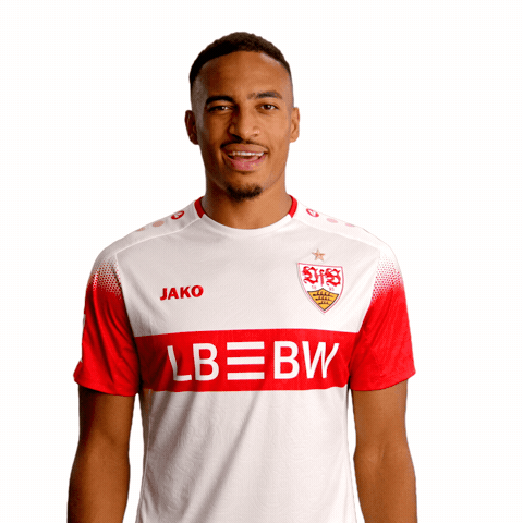 Confused Jako GIF by VfB Stuttgart 1893
