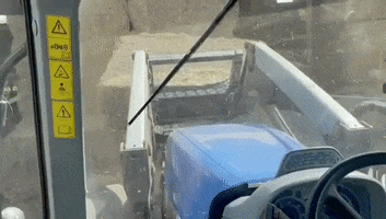 Driving Dog GIF by Storyful
