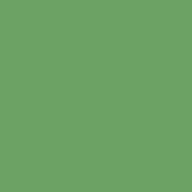 OKTO GIF