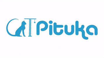 Vet Pituka GIF