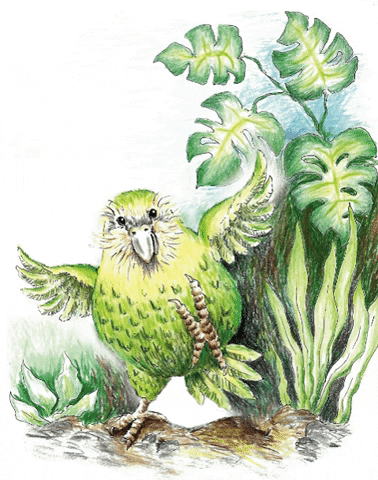 Neuseeland Kakapo GIF by BUCHER Verlag