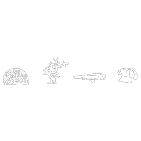 Sticker by Coral Watch