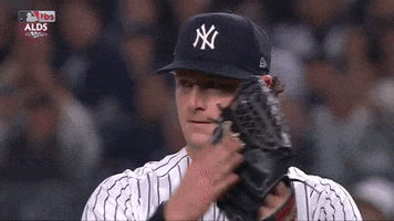 Applaud New York Yankees GIF by MLB