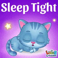 Good Night Sleeping GIF by Lucas and Friends by RV AppStudios