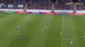 felipesku  GIF