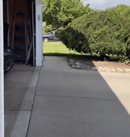 Skateboard Big Shoe GIF