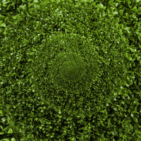 3D Spiral GIF by Feliks Tomasz Konczakowski