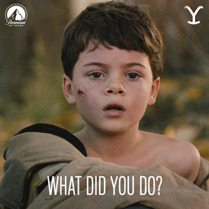 Whatd You Do Whats Up GIF by Yellowstone