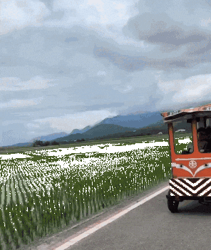 Bikefallintopaddy GIF