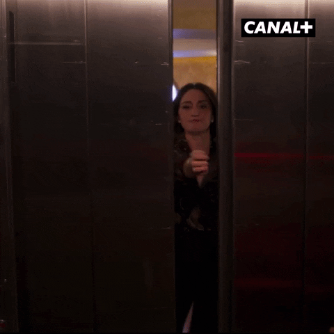 Sara Bareilles Reaction GIF by CANAL+