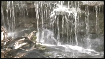 Waterfall Zoo GIF