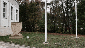 Fc Metz Football GIF