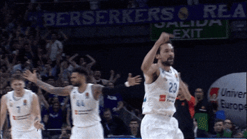 Celebrate Lets Go GIF by EuroLeague