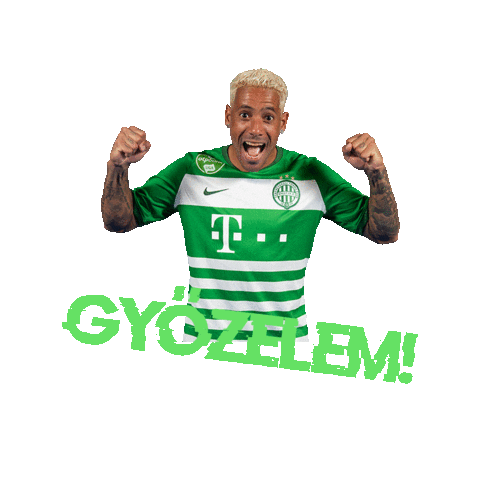 Groupama Arena Sticker