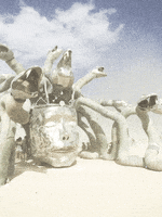 Burning Man GIF by audreyobscura