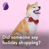Dog Holiday GIF by Splitit